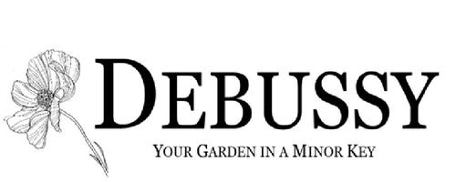 Debussy. Your Garden in Minor Key